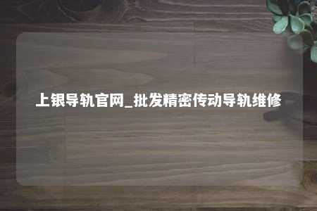 上银导轨官网_批发精密传动导轨维修