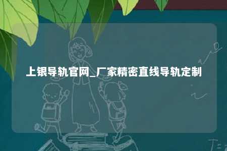 上银导轨官网_厂家精密直线导轨定制