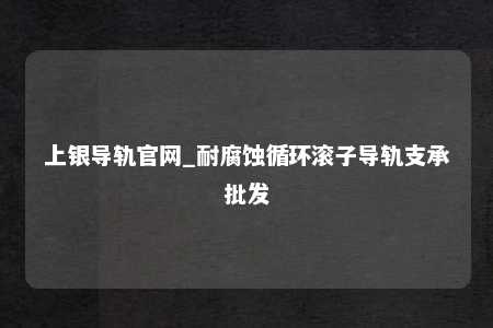 上银导轨官网_耐腐蚀循环滚子导轨支承批发