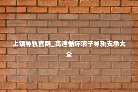 上银导轨官网_高速循环滚子导轨支承大全
