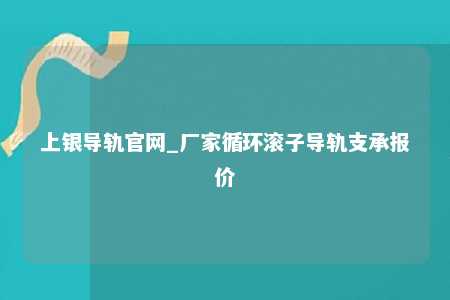 上银导轨官网_厂家循环滚子导轨支承报价