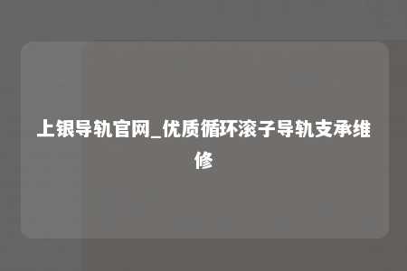 上银导轨官网_优质循环滚子导轨支承维修