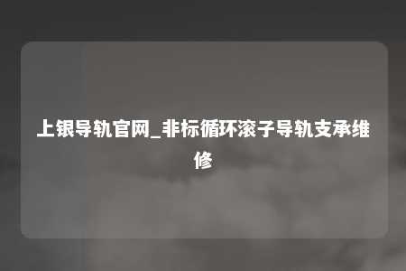 上银导轨官网_非标循环滚子导轨支承维修