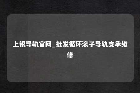 上银导轨官网_批发循环滚子导轨支承维修
