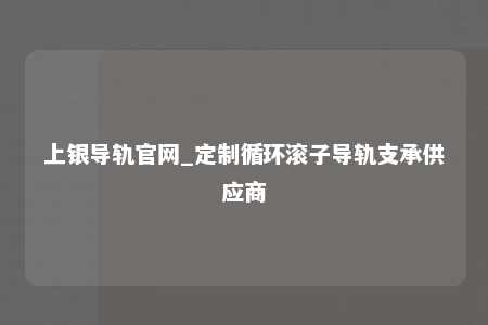 上银导轨官网_定制循环滚子导轨支承供应商